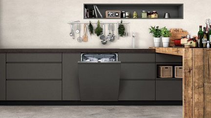 Посудомоечная машина Neff S513F60X2R