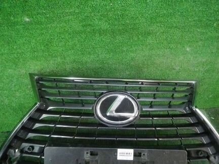 Решетка радиатора Lexus NX (2017-н.в.) 5310178120