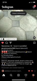 Рыжая шотландская кошка на улице