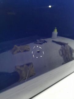 Дверь передняя правая Mercedes-Benz Gle Coupe W292