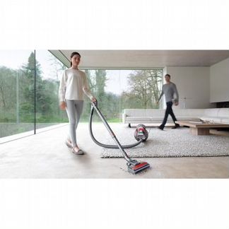 Пылесос Dyson Cinetic Big Ball Animalpro 2