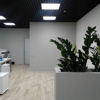 Сдам Офисное помещение, 65.00 м²