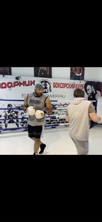 Семейный водитель охранник