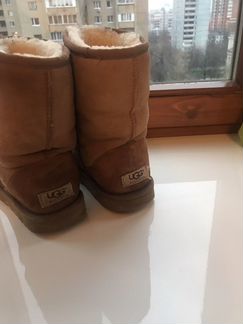 Ugg оригинал 37