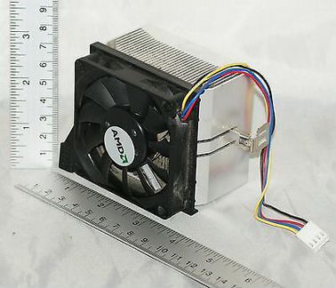 Amd