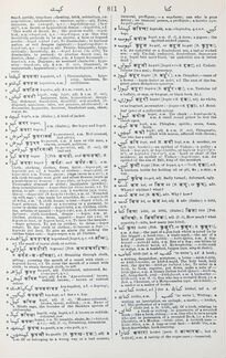 Урду-хинди-английский словарь (комплект из 2 книг)