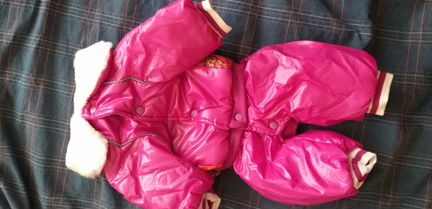 Одежда для собаки