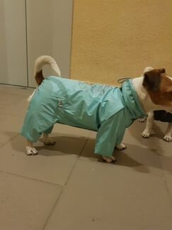 Дождевик для собак