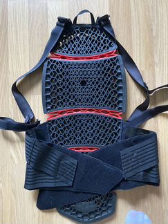Защита спины Dainese Pro-Armor Back