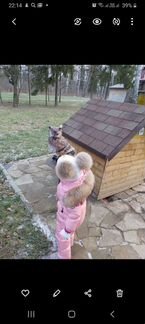 Зимний детский комплект Moncler Румыния мятный цве