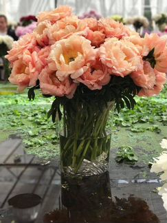 Шикарные пионы ито гибриды ароматные огромные цвет