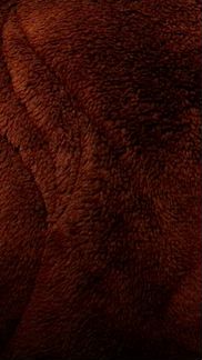 Пальто monserrat зимнее с поясом