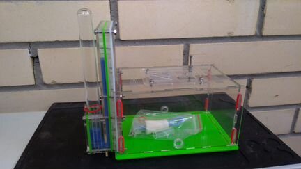 Формикарий ферма для муравьев