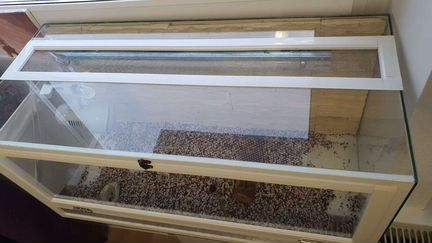 Террариум для рептилий