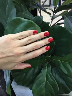 Маникюр +Шеллак + Снятия