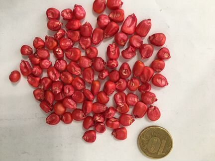 Семена подсолнечника, кукурузы