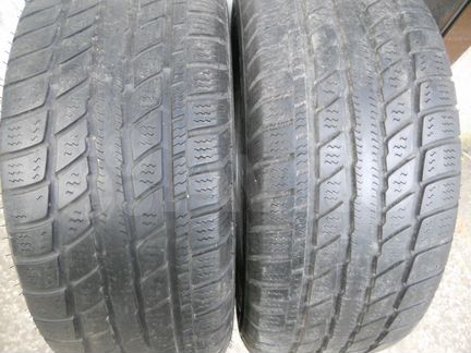 GT Radial Champiro WT-AX 225/55 R16 99V