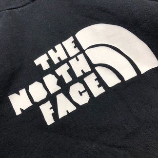 Толстовка худи The north face