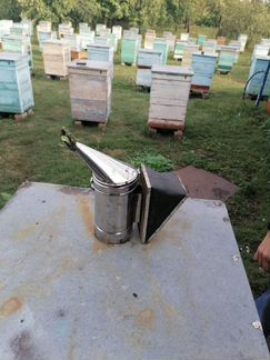 Пчелосемьи - фотография № 2