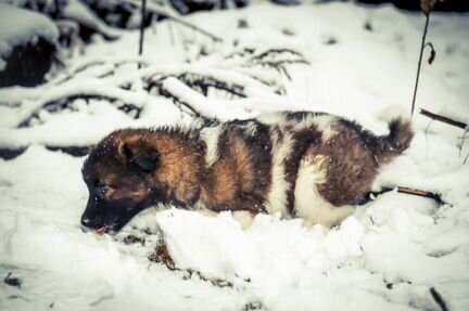 Супер красивый мальчик