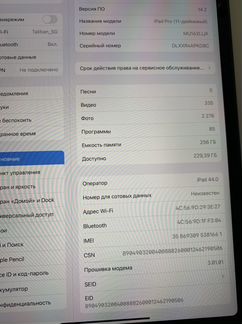 iPad pro 11 256 lte